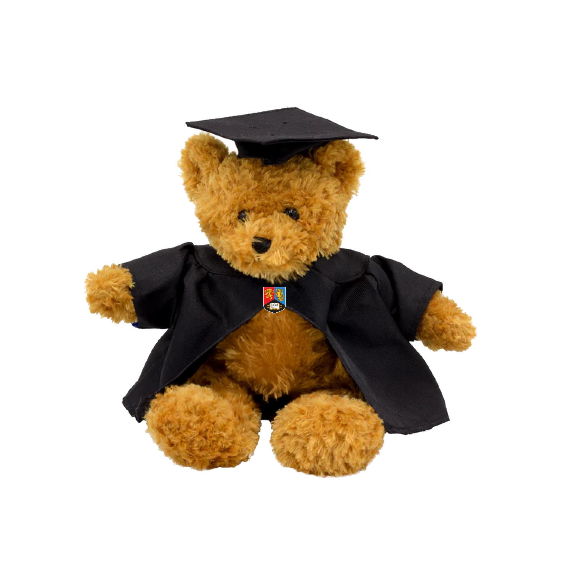 Graduation Bear