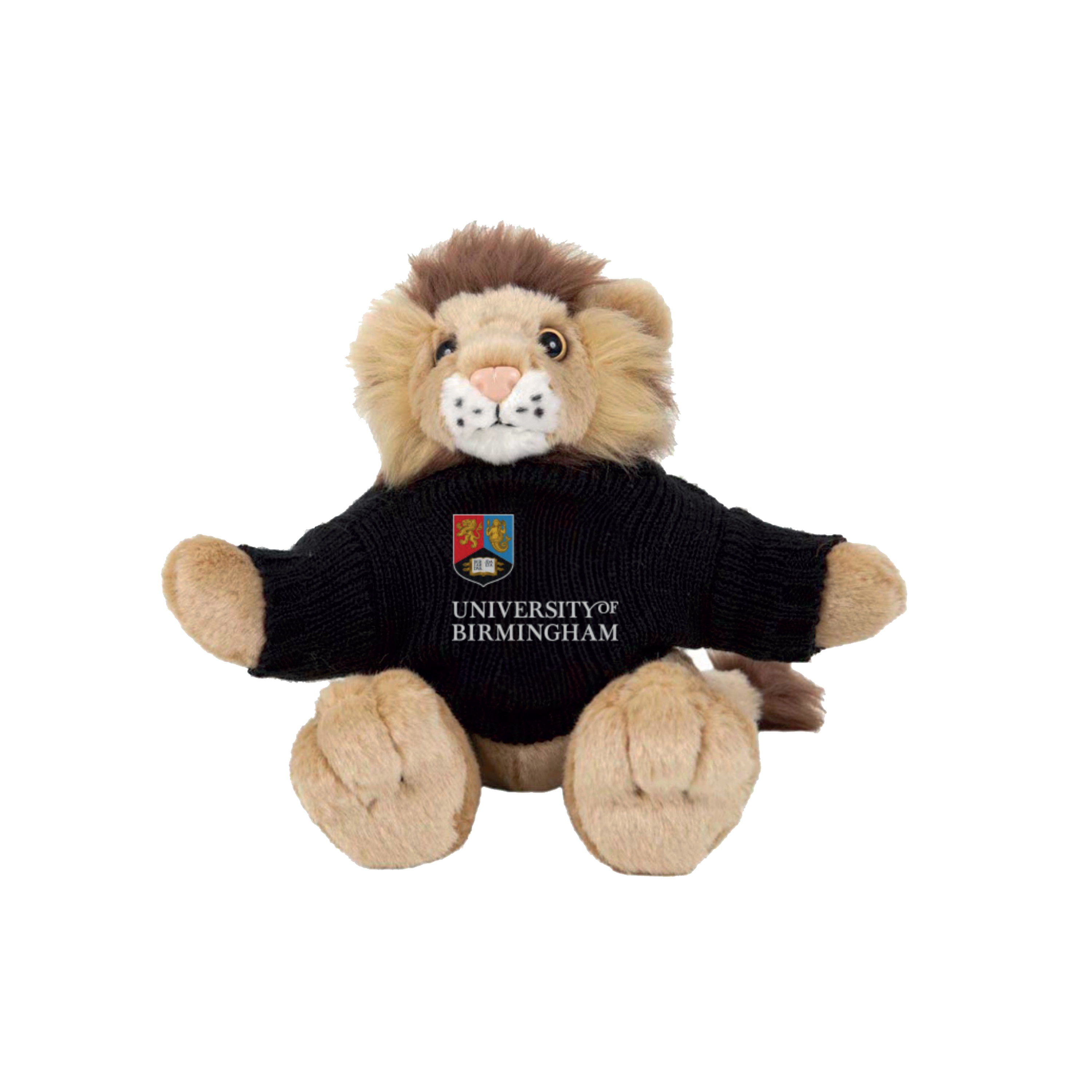 Plush lion toy wearing a black sweater with 'University of Birmingham' logo on a white background