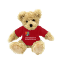 Plush teddy bear wearing a red shirt with 'University of Birmingham' text on a white background