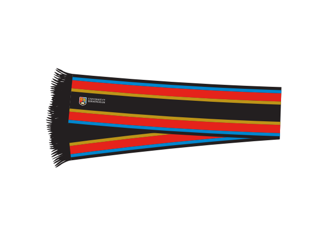 University Striped Scarf