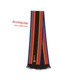 University Striped Scarf