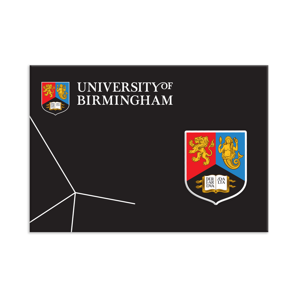 University of Birmingham create pin badge in packaging