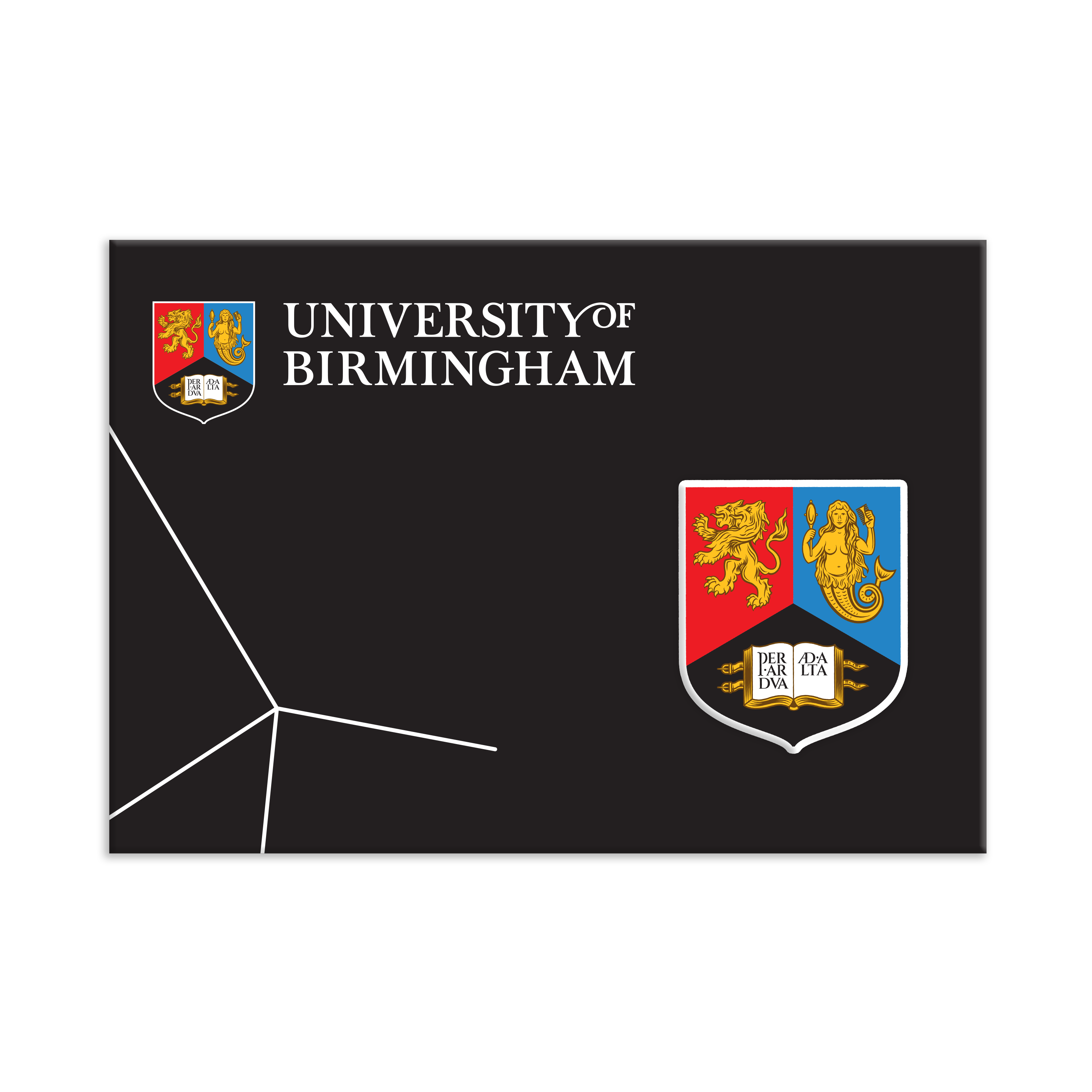 University of Birmingham create pin badge in packaging